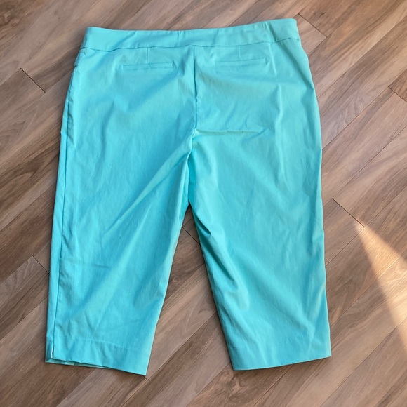 Zac & Rachel midrise wide crop pant with stretch aqua 22W - Picture 6 of 17